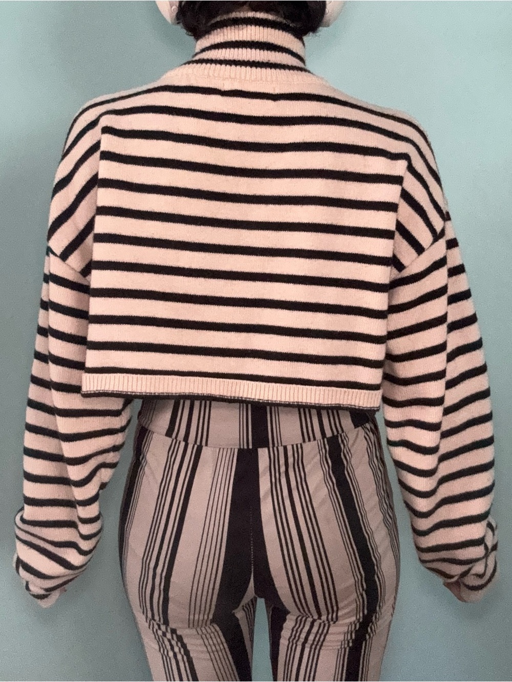 Cider Cream and Black Striped Cropped Turtleneck Sweater - Picture 3 of 7